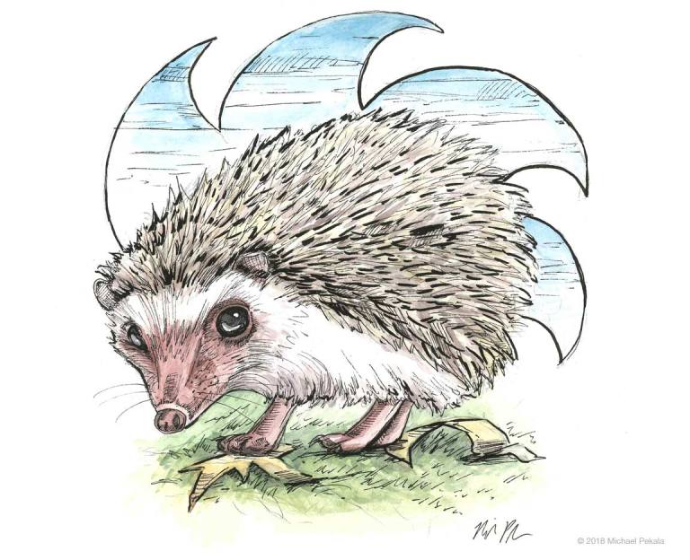 Cute hedgehog illustration in pen and ink and watercolor.