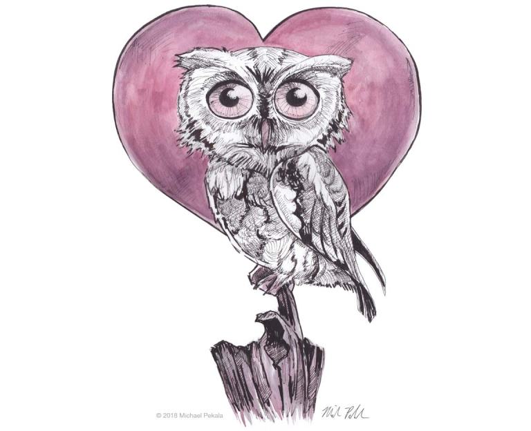 Owl and heart illustration watercolor with pen and ink